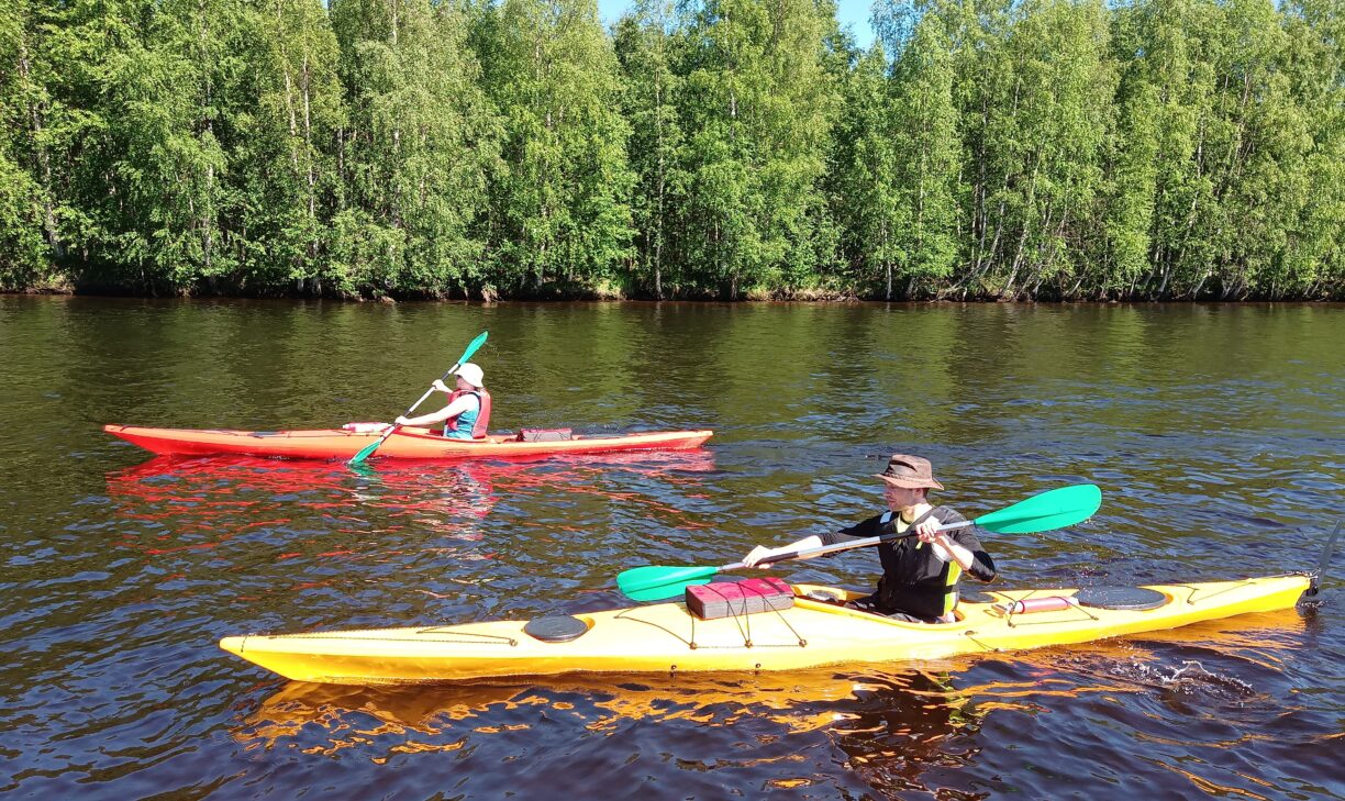 2 färgglada kajaker som förs framåt av 2 människor. En skog i bakgrunden och soligt väder.