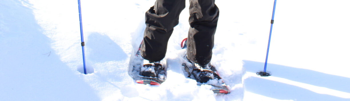 Snötäckt mark där en persons ben syns ståendes med snöskor och två skidstavar.