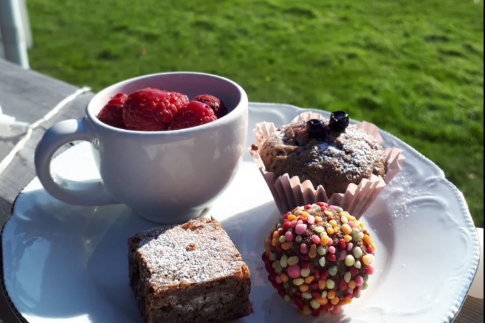 En vit tallrik med en chokladruta, choladboll, chokladmuffis och en lite kopp hallon på. I bakgrunden syns grönt gräs och några träd mot vattnet.
