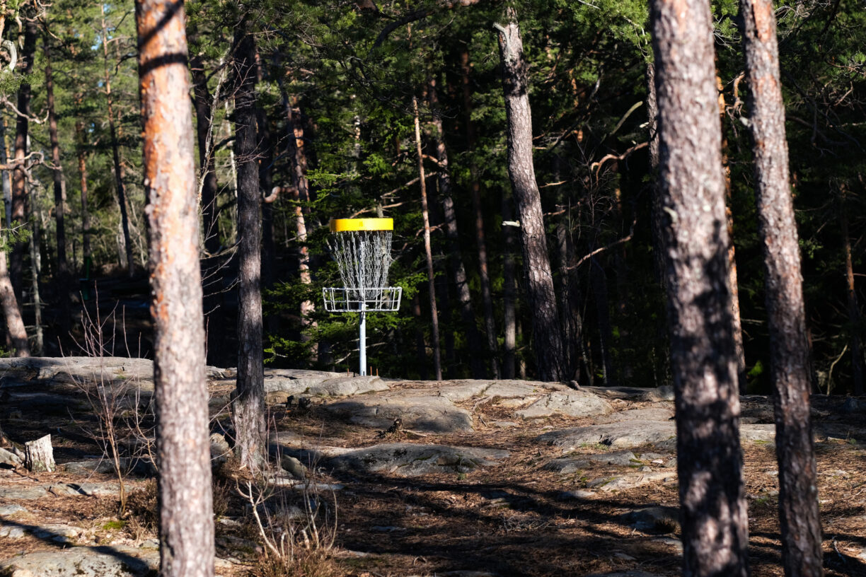 Mål/korg för discgolf syns mellan trädstammar i solljus.